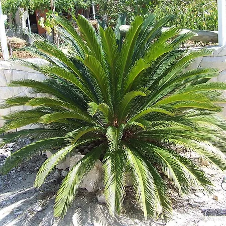 2 Apartman Rogoznica (Sibenik-Knin)