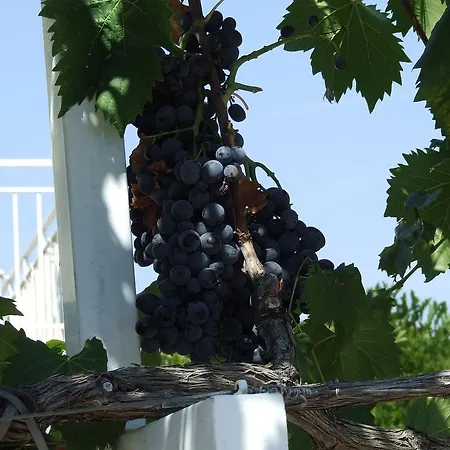 2 Rogoznica (Sibenik-Knin)