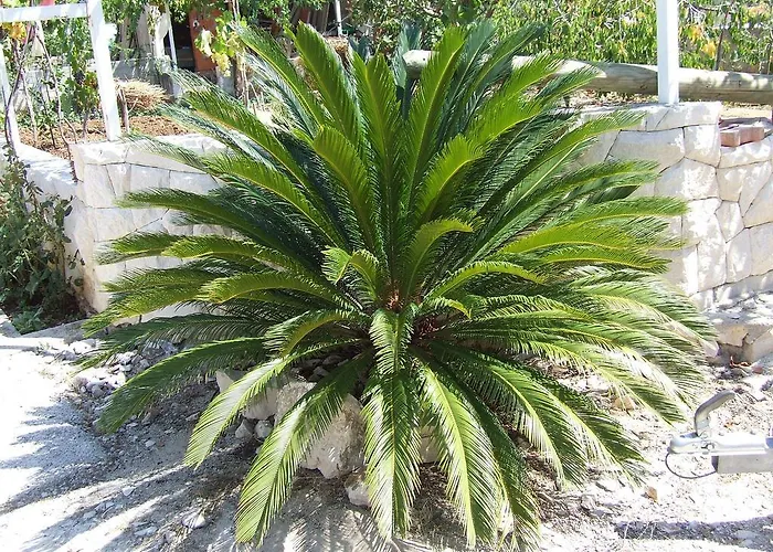 2 Apartment Rogoznica (Sibenik-Knin)