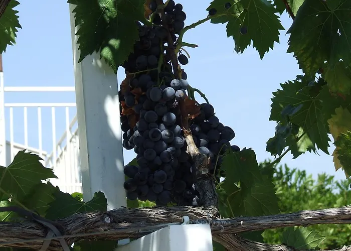 2 Rogoznica (Sibenik-Knin)